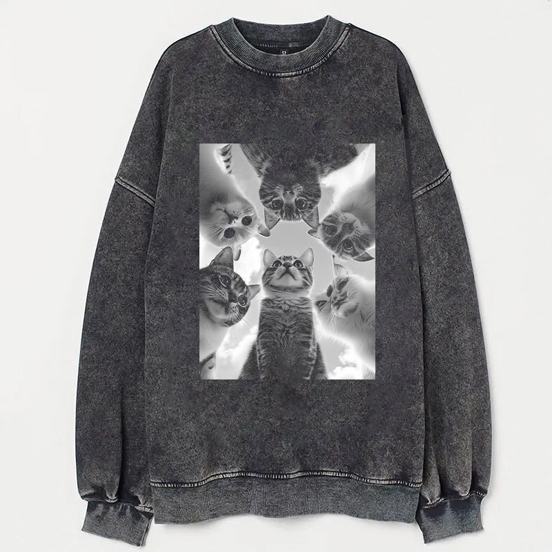 Cat Pattern Graphic T-Shirt