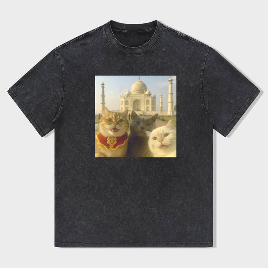 Cat Taking Selfie Taj Mahal Funny T-Shirt