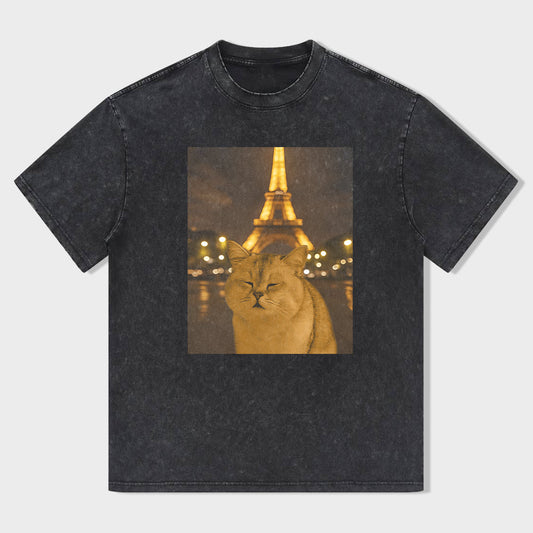 Cat Taking Selfie with Eiffel Tower Funny T-Shirt