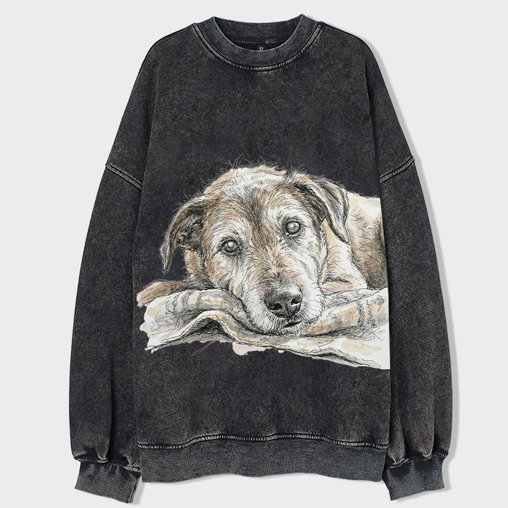 Heygraff™ "Old Soul" Hand-Drawn Dog Sketch tshirt | Vintage Washed Cotton| Quiet Companions