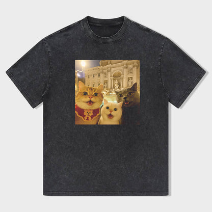 Cat Taking Selfie with Trevi Fountain Funny T-Shirt