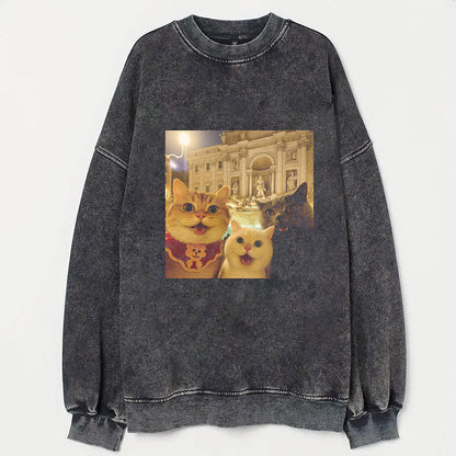 Cat Taking Selfie with Trevi Fountain Funny T-Shirt