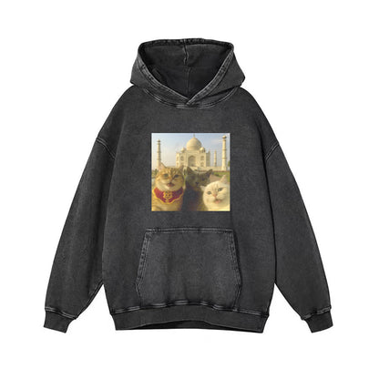 Cat Taking Selfie Taj Mahal Funny T-Shirt