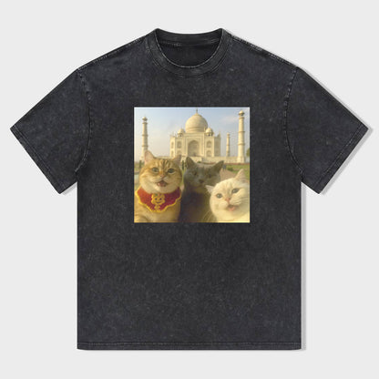 Cat Taking Selfie Taj Mahal Funny T-Shirt