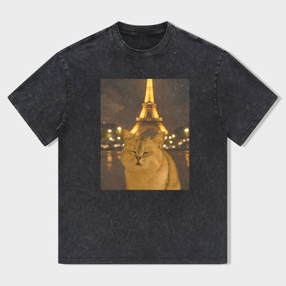 Cat Taking Selfie with Eiffel Tower Funny T-Shirt