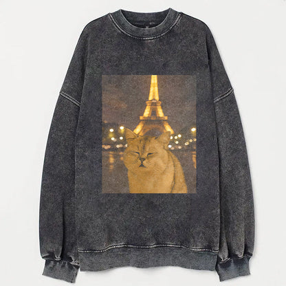Cat Taking Selfie with Eiffel Tower Funny T-Shirt